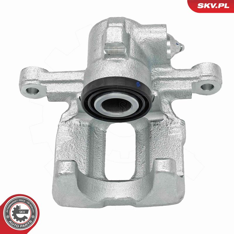 ESEN SKV 67SKV313 Brake Caliper