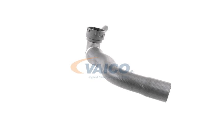 VAICO V30-3264 Radiator Hose