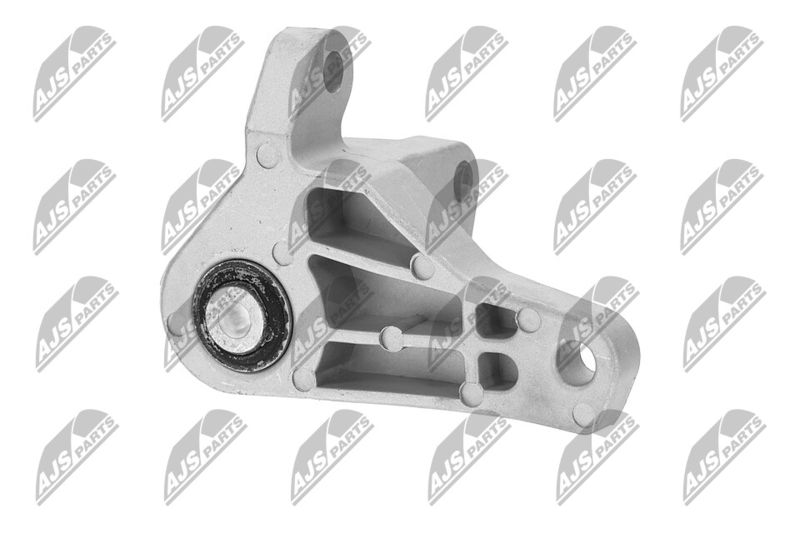 Paigutus, Mootor, NTY ZPS-FR-066