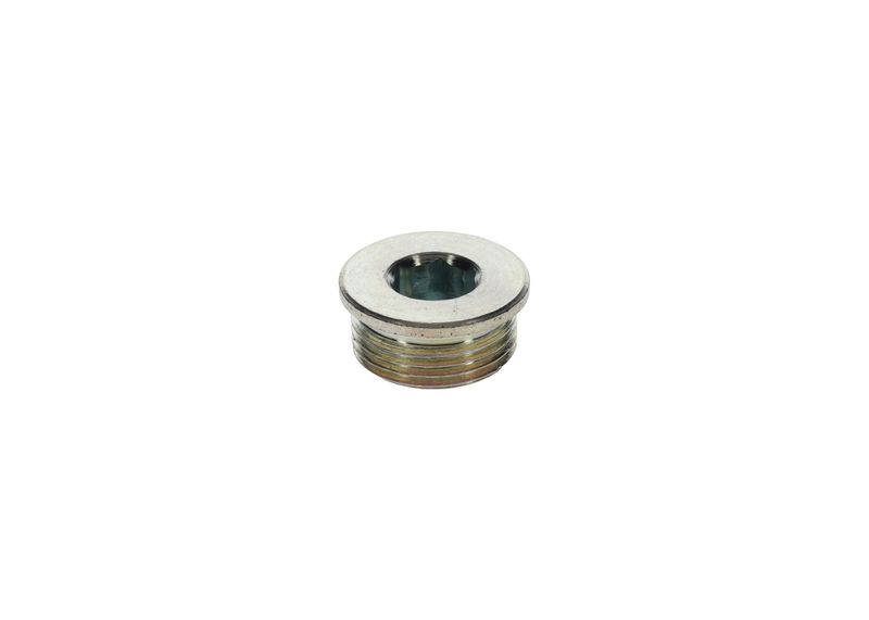 Surub 1 423 462 099 BOSCH
