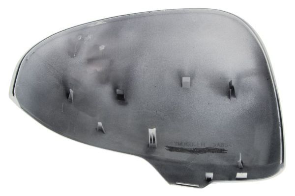 BLIC 6103-19-2002495P Housing, exterior mirror