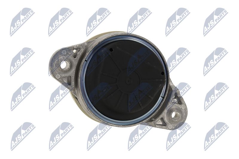 Paigutus, Mootor, NTY ZPS-ME-011