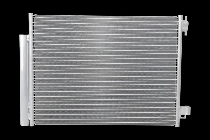 366221371_BACK_TD_3.JPG
