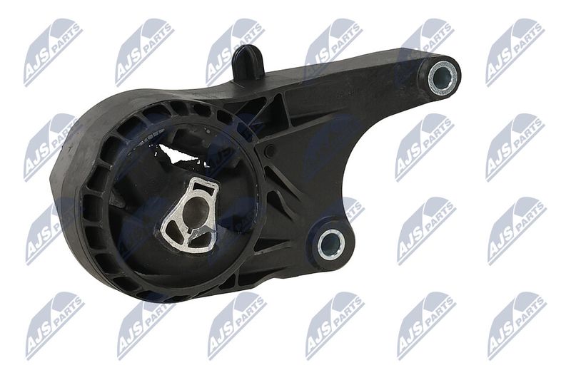 Paigutus, Mootor, NTY ZPS-PL-058
