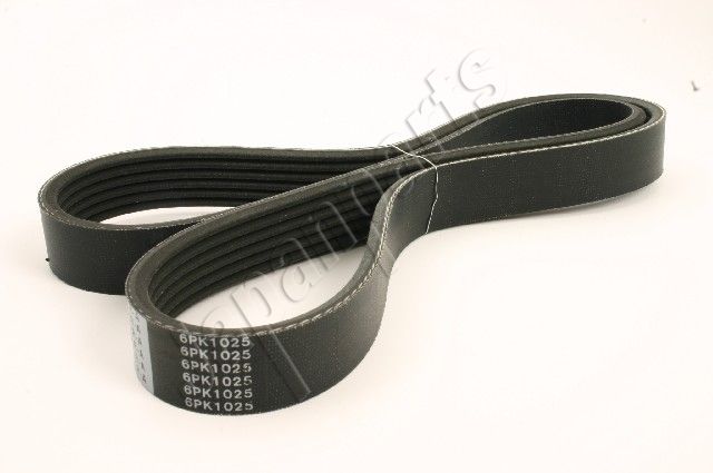 DV-6PK1025 JAPANPARTS Cinghia Poly-V 