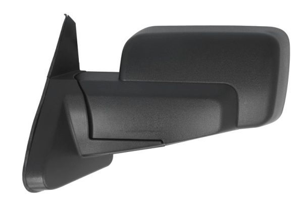 BLIC 5402-55-0615310P Exterior Mirror