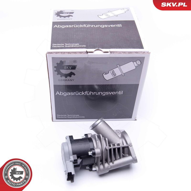EGR-klapp, ESEN SKV 14SKV173