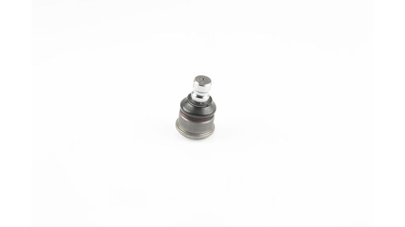 SKF VKDS 316006 Šarnyras / girgždukas