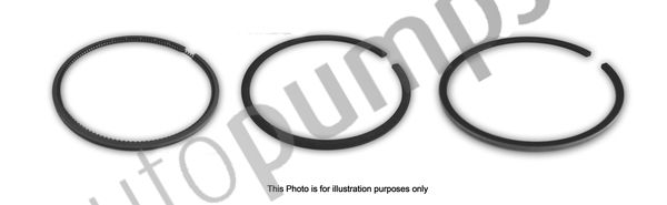 Autopumps UK A3217 Piston Ring Set