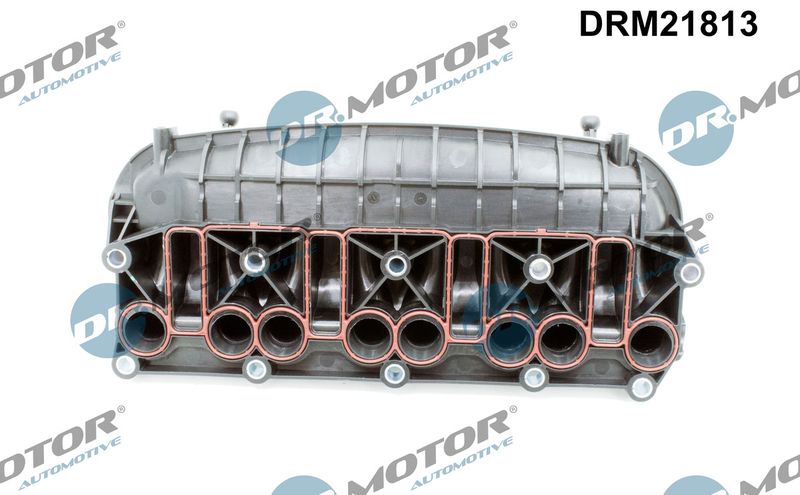 Модуль впускної труби, Dr.Motor DRM21813