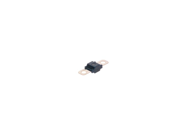 BOSCH 1987531011 Fuse