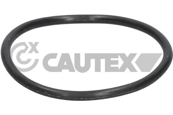 Junta, termostato CAUTEX 952036