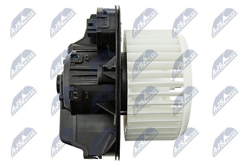 Salongipuhur, NTY EWN-WW-009