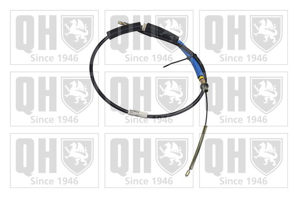 QH_BC2595.JPG