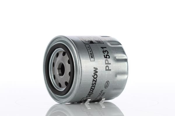 PP531.JPG
