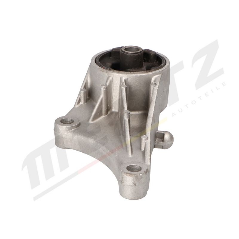 MERTZ M-S4779 Mounting, engine