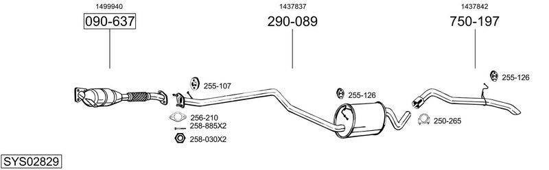 SYS02829.JPG