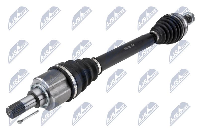 NPW-PE-122_1-WM.JPG