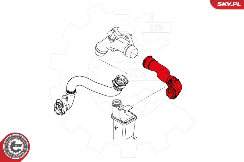 Шланг радіатора, Skv Germany 24SKV267