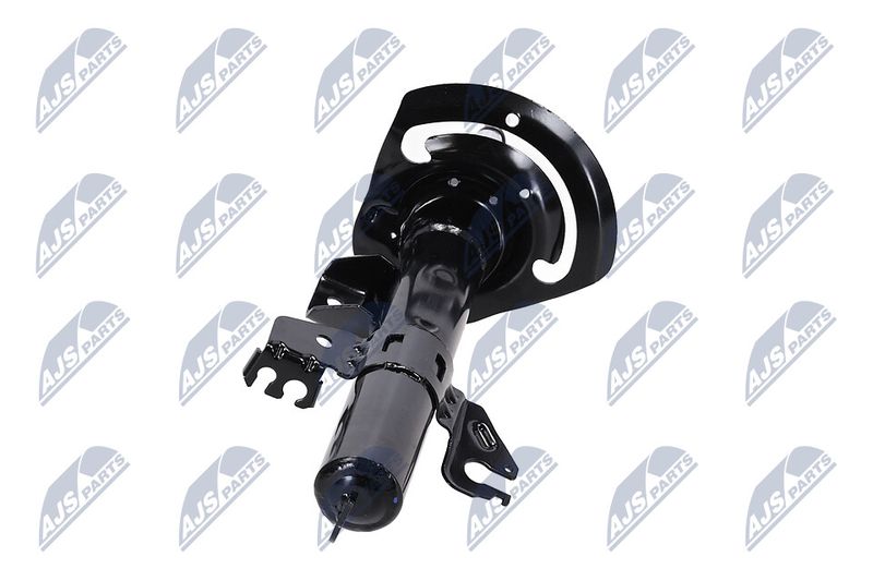 Amort, NTY A-CH-083