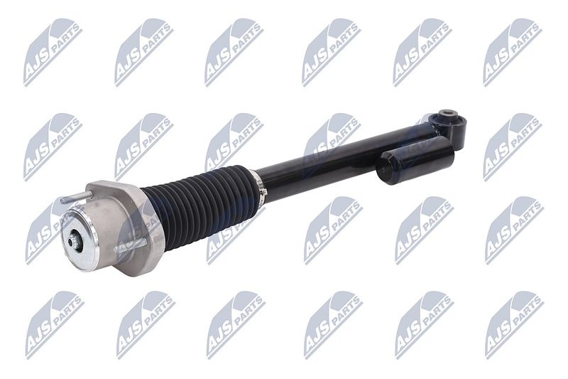 Amort, NTY A-LR-019