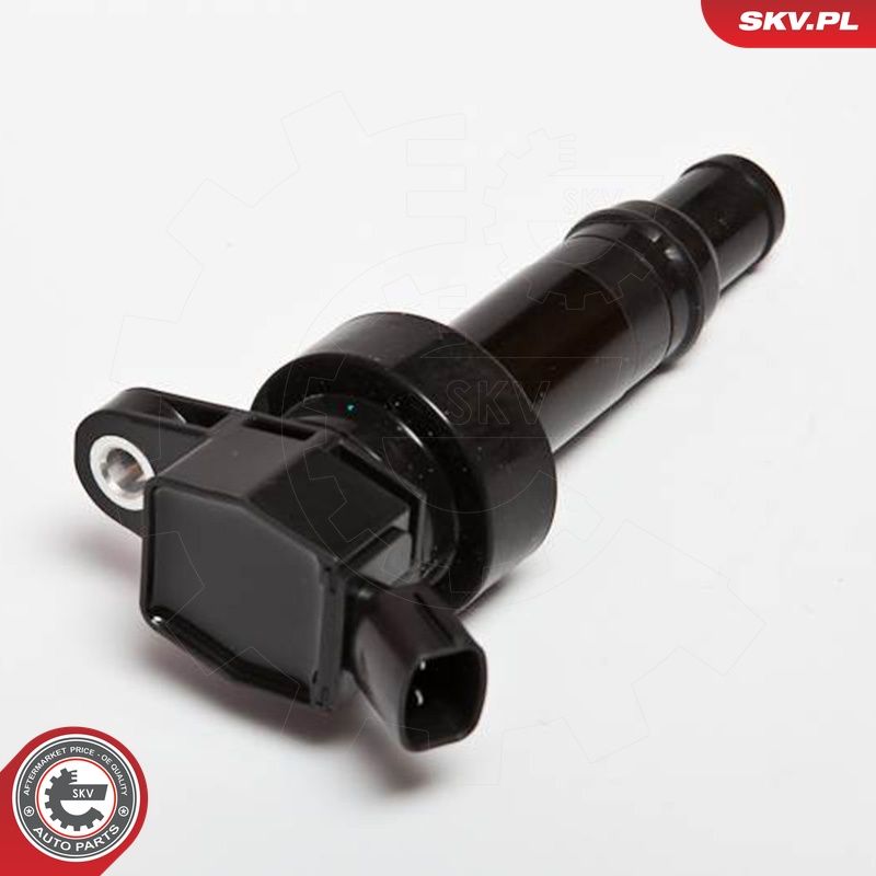 Süütepool, ESEN SKV 03SKV205