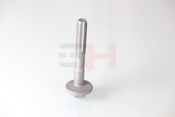 GH GH-399901 Camber Correction Screw