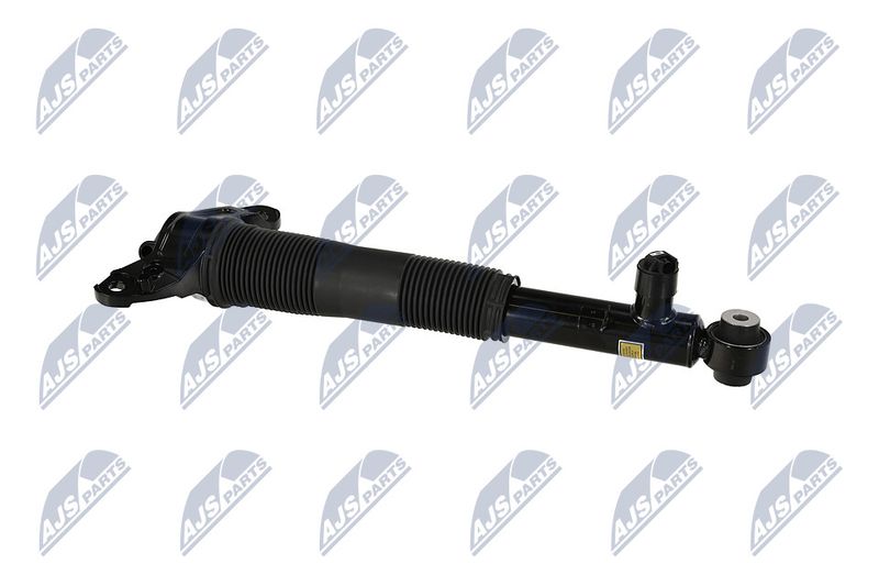 Amort, NTY A-LR-037