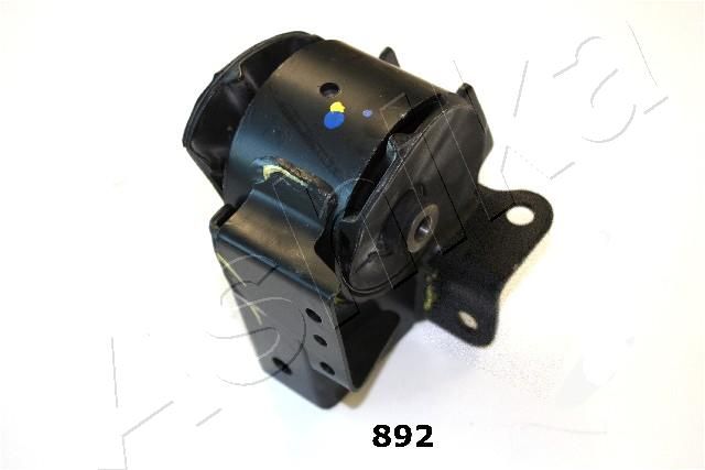 GOM-892_1.JPG