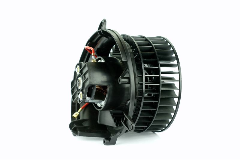 Salongipuhur, NISSENS 87152