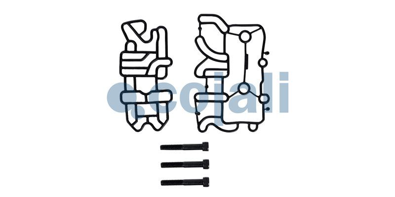 Set garnituri, transmisie manuala COJALI 6012395