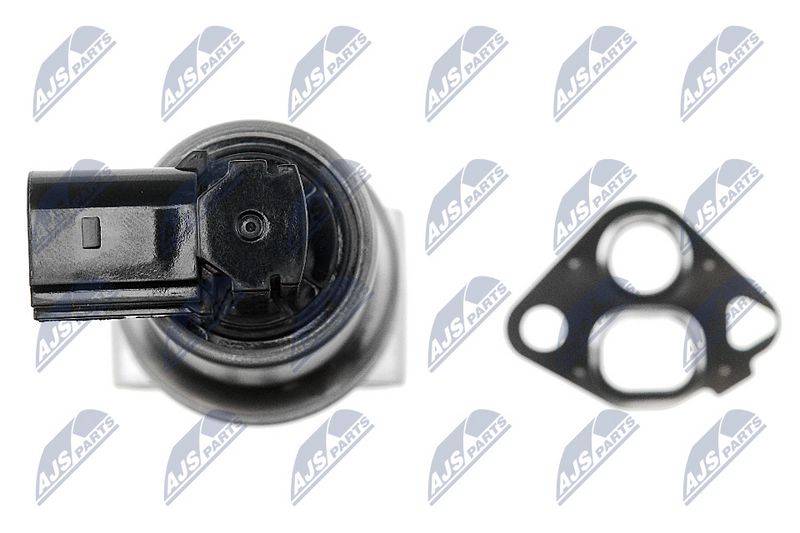 EGR-klapp, NTY EGR-WW-001