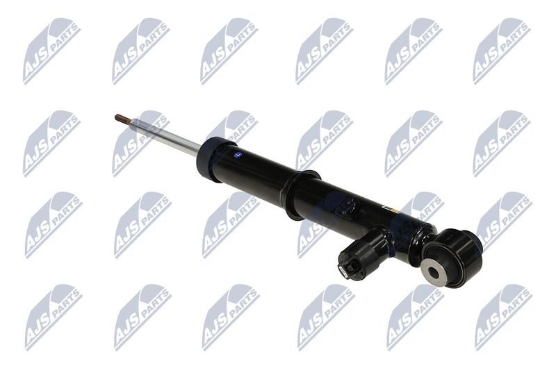 Amort, NTY A-LR-034
