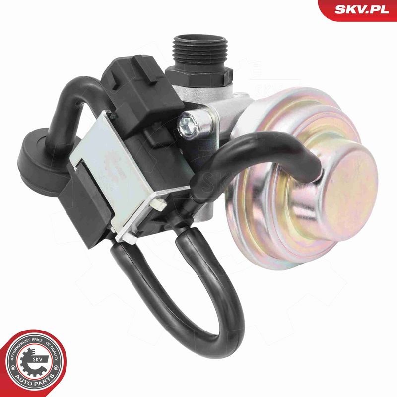 ESEN SKV 14SKV268 EGR Valve