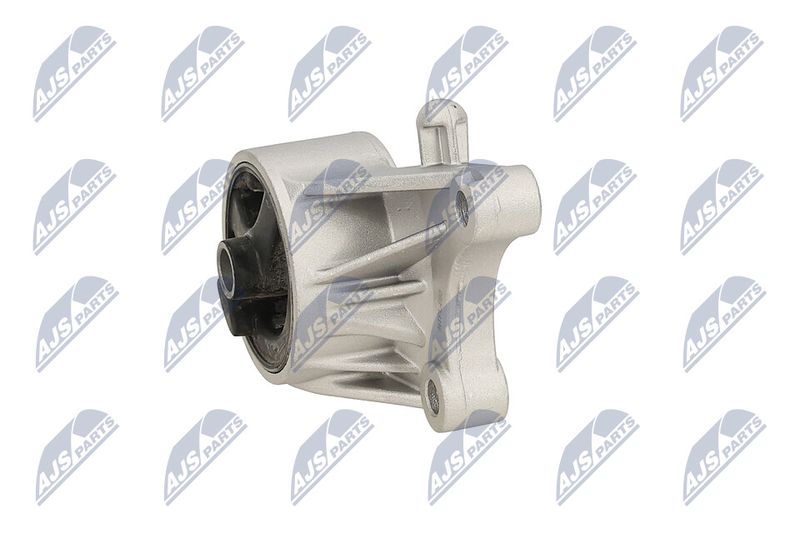 Paigutus, Mootor, NTY ZPS-PL-093