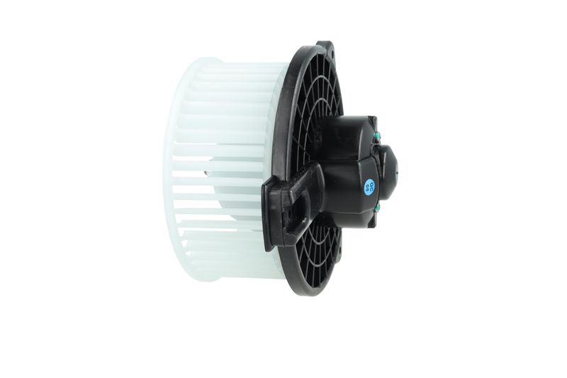 Salongipuhur, NRF 34291