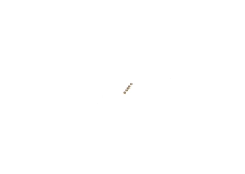 BOSCH F00ZC99744 Repair Kit, common rail system