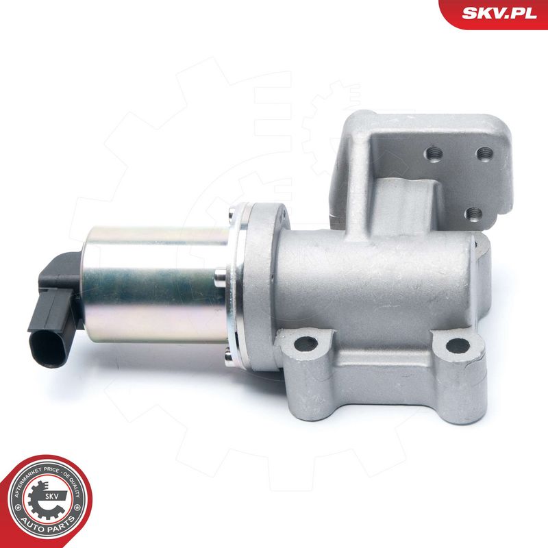 EGR-klapp, ESEN SKV 14SKV099