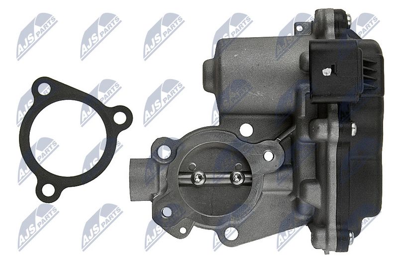 egr-vw-055_5-wm.JPG