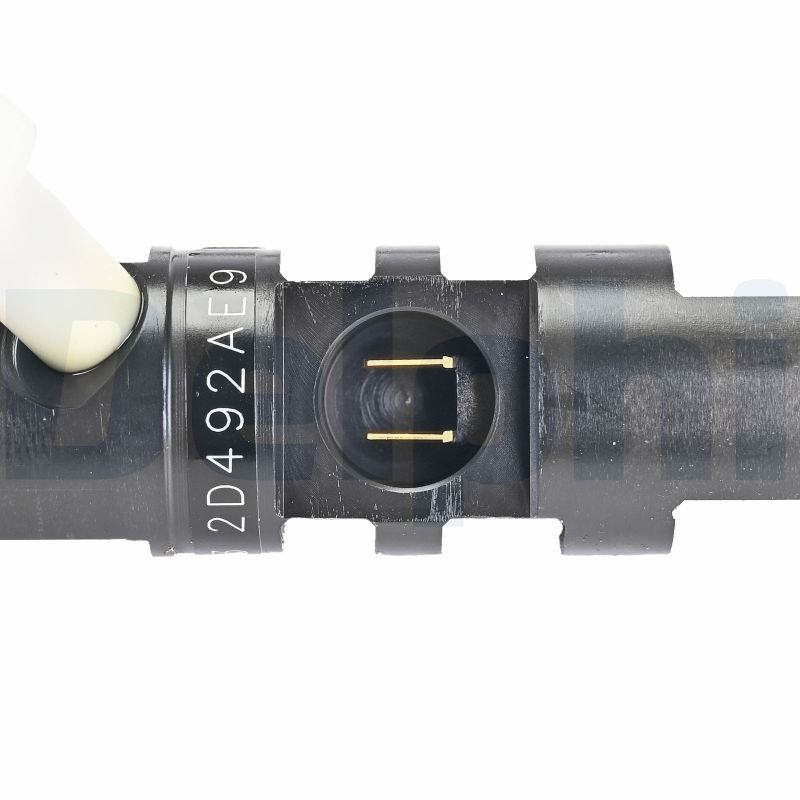 DELPHI R03701D-12B1 Injector