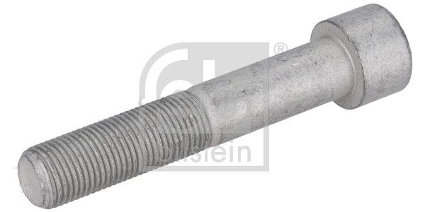 Bevestigingsbout remschijf Achter (M16x1,5x65, draadlengte 46mm) past: FORD CARGO II, F-MAX 09.15-