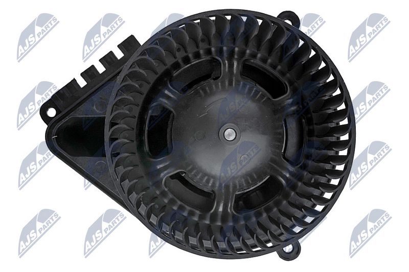Salongipuhur, NTY EWN-WW-016