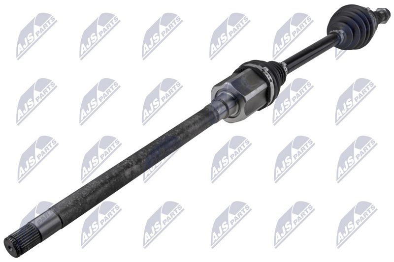 NPW-LR-031_1-WM.JPG