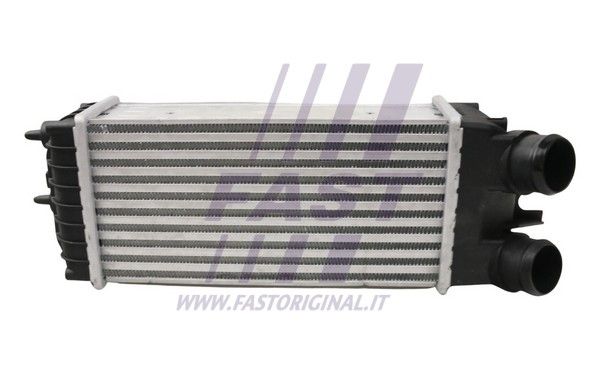 FT55600_2_1.JPG