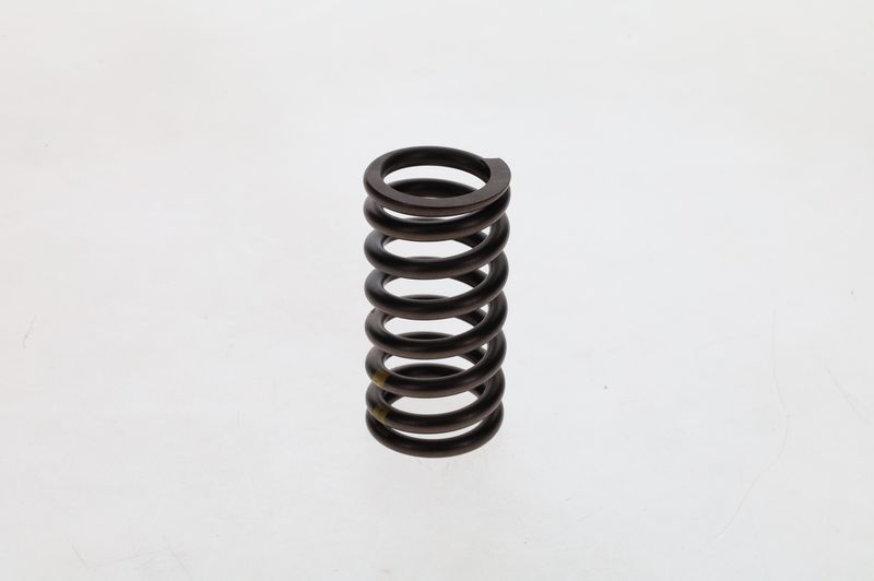 BOSCH 2 414 619 011 Spring