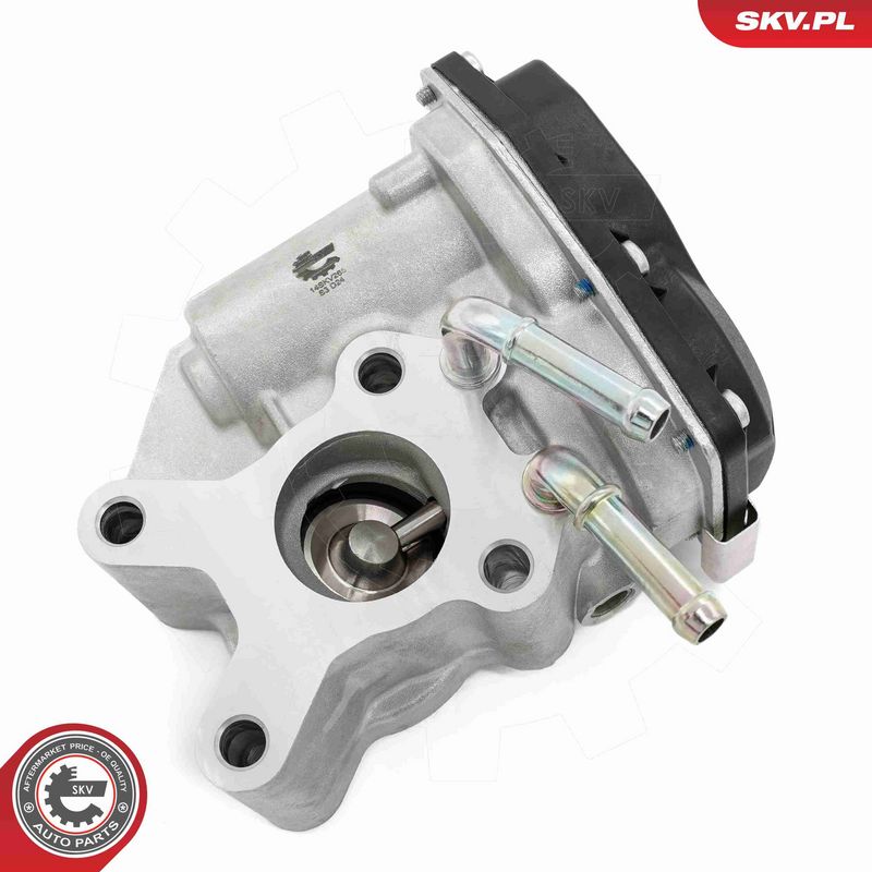 ESEN SKV 14SKV265 EGR Valve