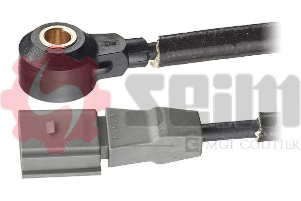 CC84.JPG