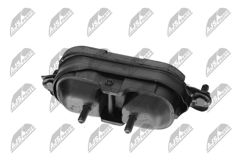 Paigutus, Mootor, NTY ZPS-CH-115