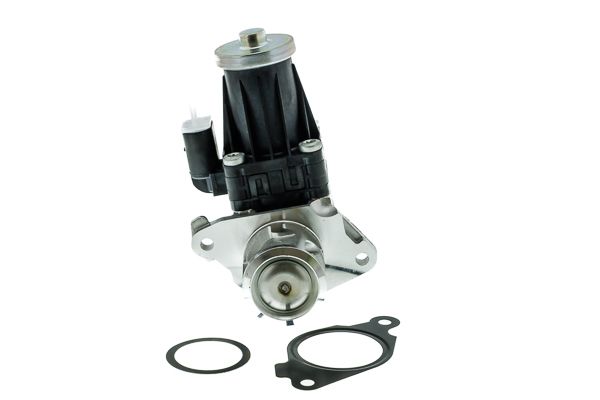 AISIN EGRAZ-7013 - EGR vožtuvas
