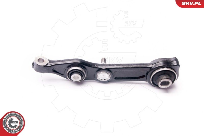 ESEN SKV 04SKV300 Repair Kit, control arm